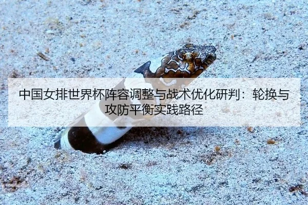 中国女排世界杯阵容调整与战术优化研判：轮换与攻防平衡实践路径