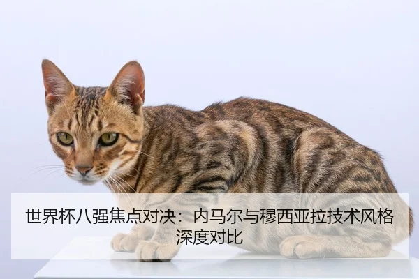 世界杯八强焦点对决：内马尔与穆西亚拉技术风格深度对比