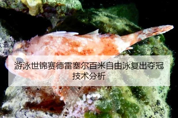 you-yong-shi-jin-sai-de-lei-sai-er-bai-mi-zi-you-yong-fu-chu-duo-guan-ji-shu-fen-xi-2-747.jpg